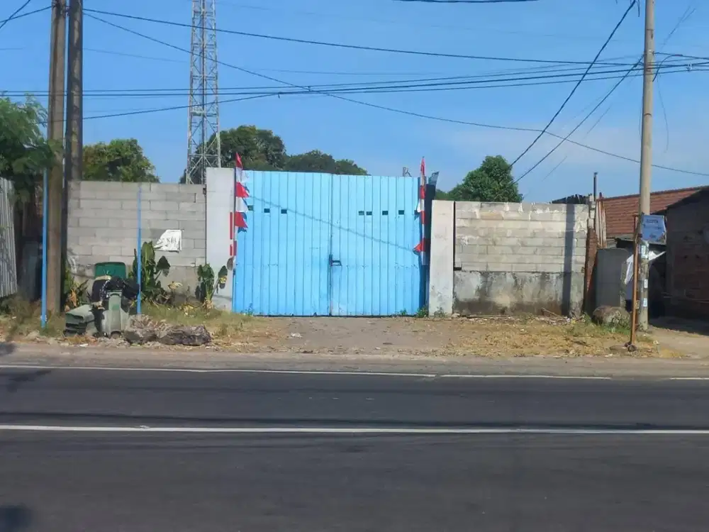 DIJUAL TANAH JALAN RAYA BAMBE DRIYOREJO GRESIK - NOL JALAN