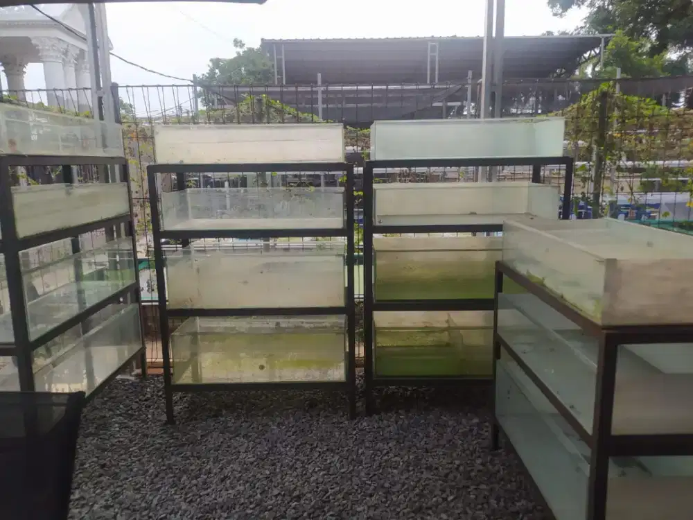 Jual borongan aquarium murah banget