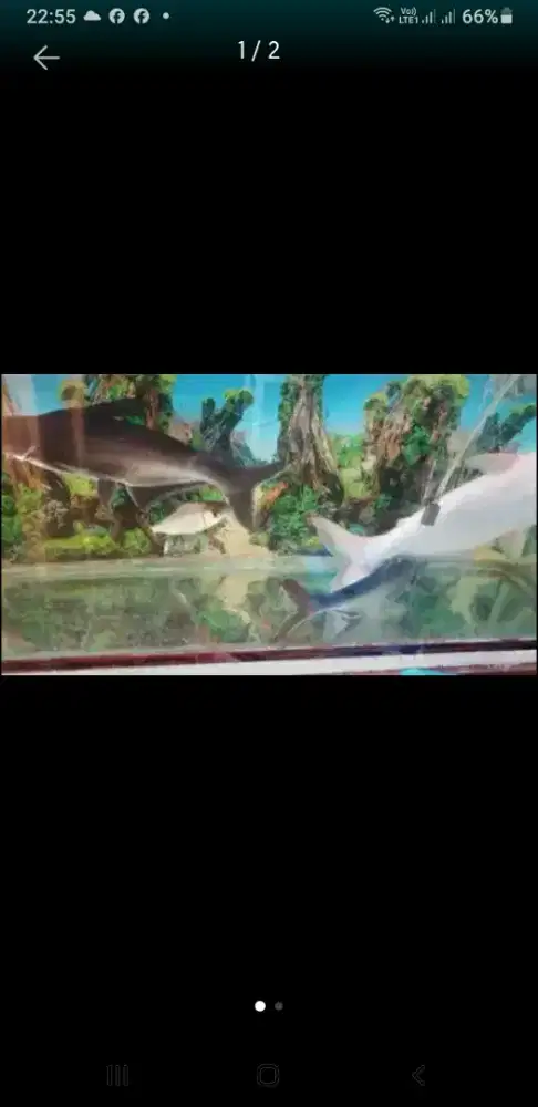 Jual murah aquarium filter ada dibawah dan talangnya, gratis lemari