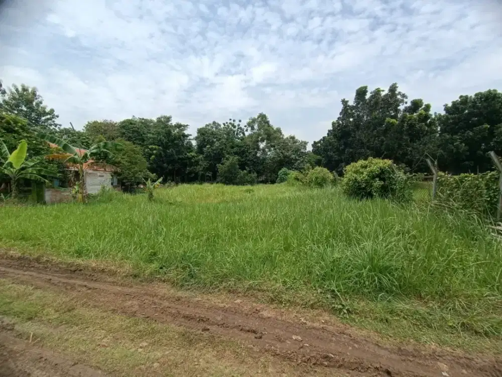 Tanah Strategis Dijual, Dekat Jalan Utama dan Harga Menarik.