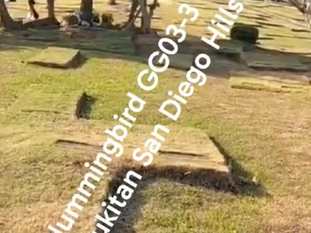 over makam Kristen Mansion Hummingbird San Diego Hills dekat manajemen.