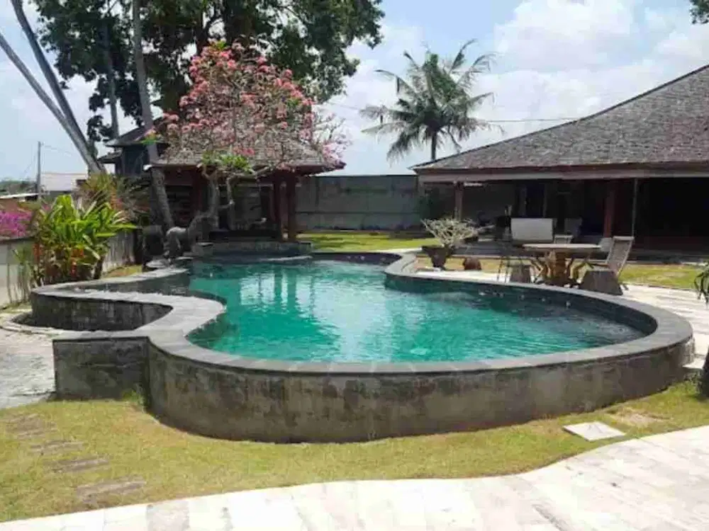 Villa Kokoh Kualitas Nomer1 Luas 13Are View Sawah Canggu Kayu Tulang