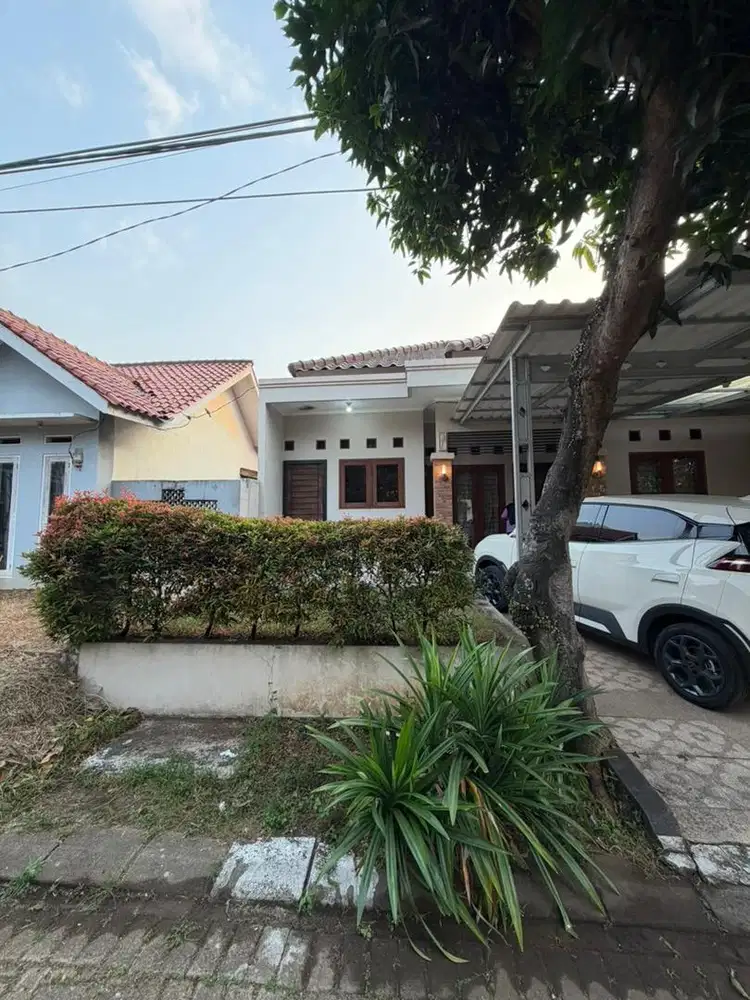 Rmh Terawat dan bersih.