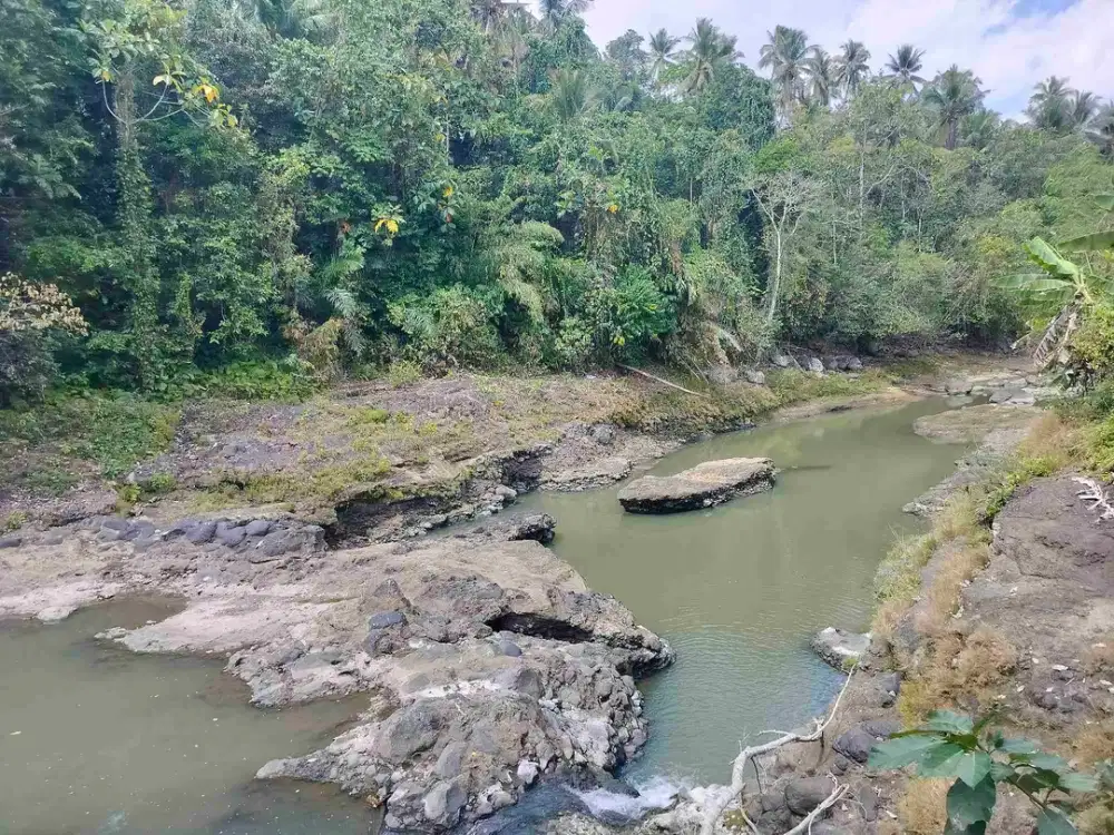 jual tanah los sungai lok gadungsari selemadeg timur.luas tanah 66 are harga 25 jt/ are