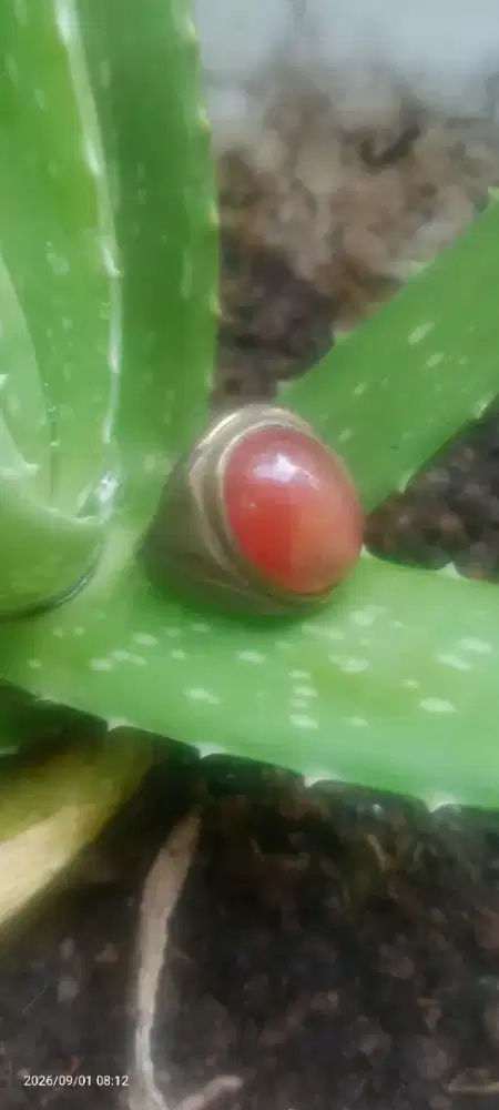 Batu akik Jaman jadul