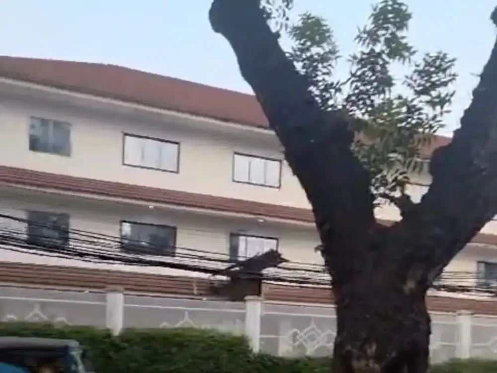 Gedung Ex Kampus Hoek Siap Pakai Area Cikini Menteng Jakarta Pusat