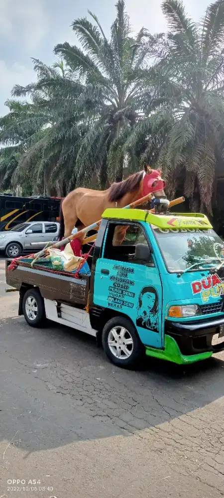 Jasa pindahan dalam kota/luar kota