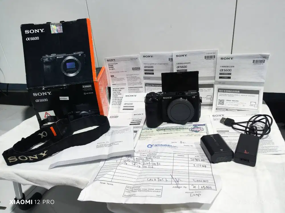 Sony A6600 Fullset Like New - SC Rendah 4941