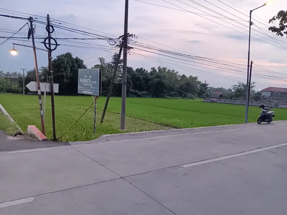 Tanah Candinegoro Sidoarjo