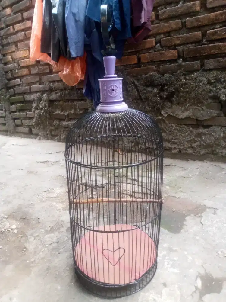 jual kandang helopet kecil