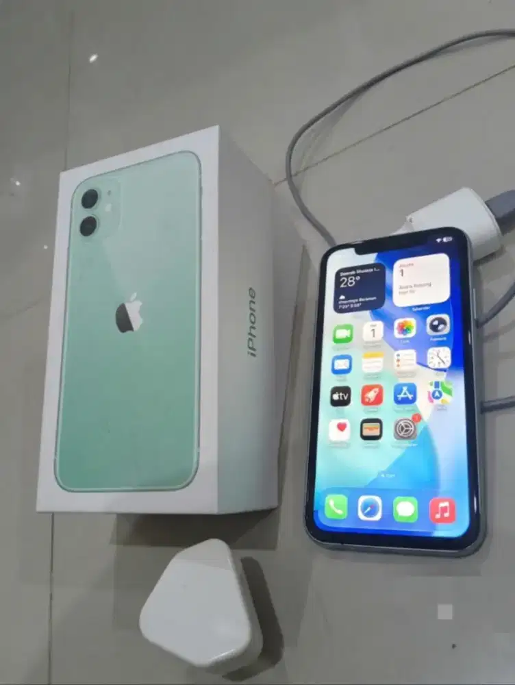 iPhone 11 Wifi only