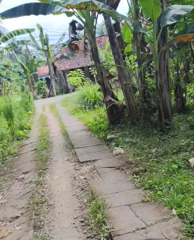 Dijual Tanah Strategis Dekat Alfamart Kluwung Kemiri (Masuk Mobil)