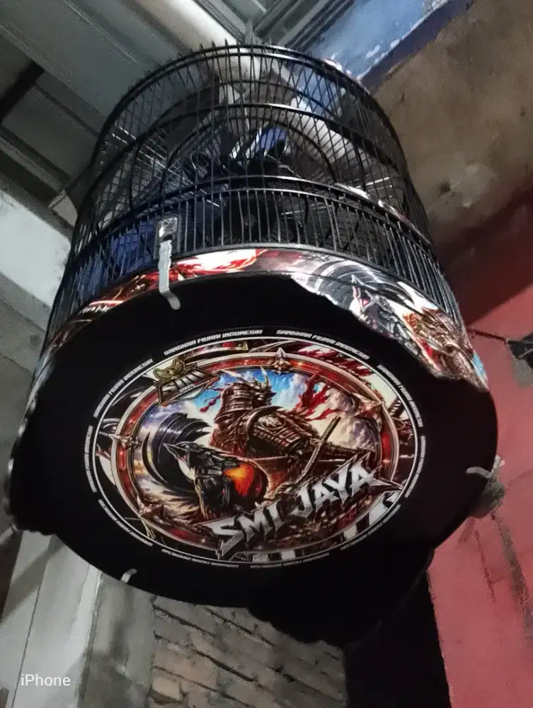 Sangkar murai decal baru ukuran 55/56