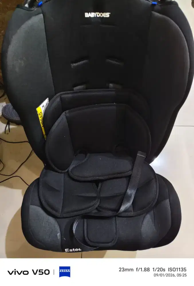 Car Seat Babydoes esteem