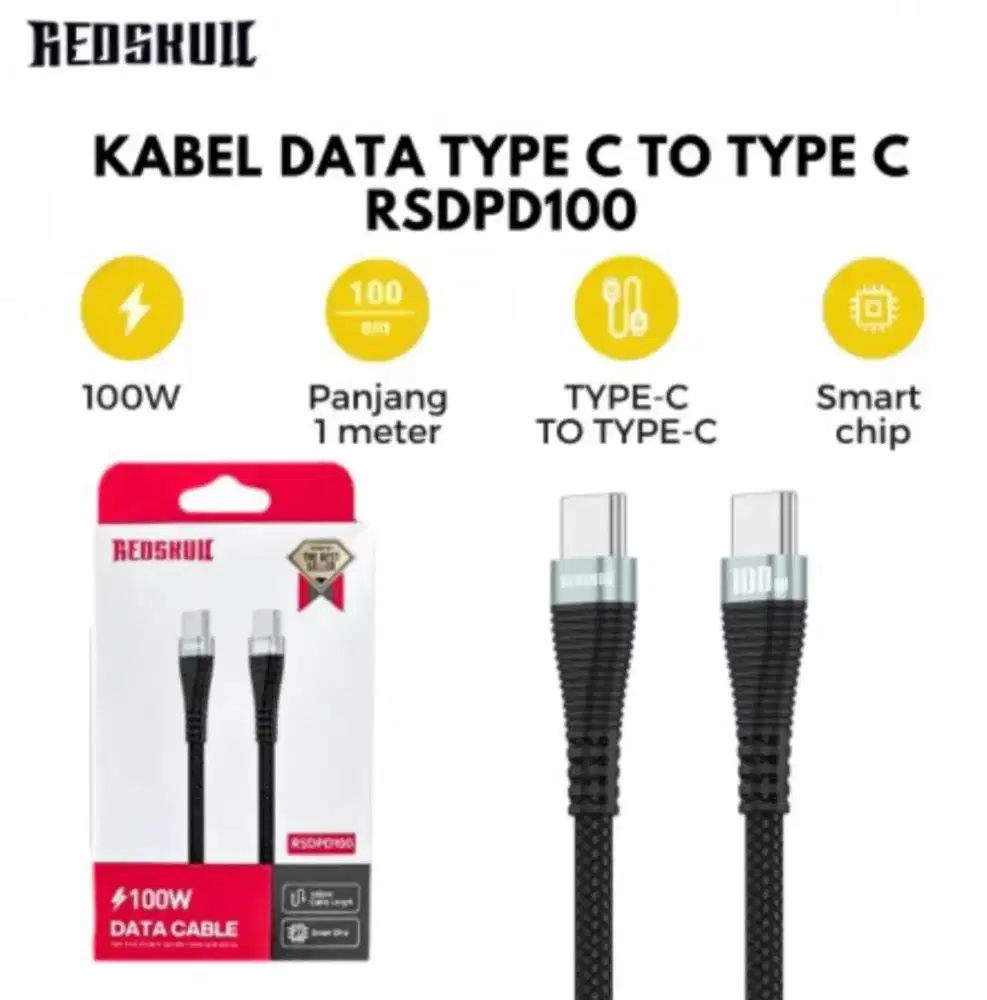 RSDPD100 C to C 100w