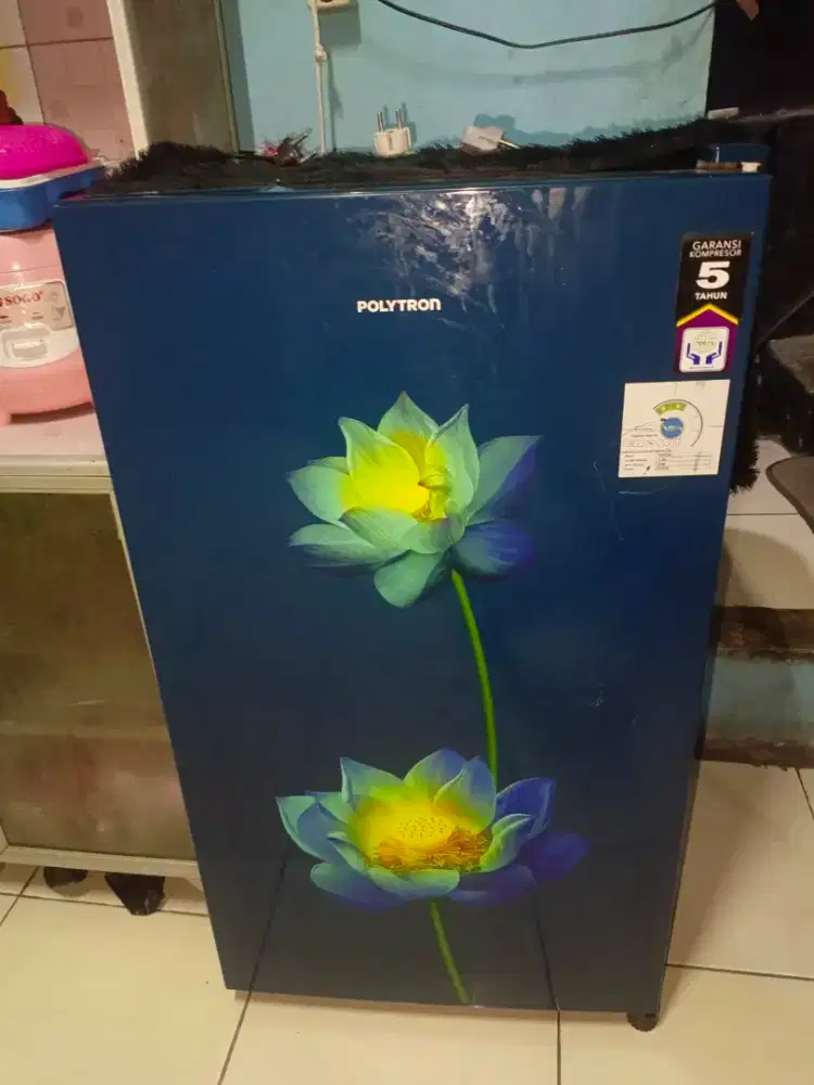 Kulkas 1 pintu polytron