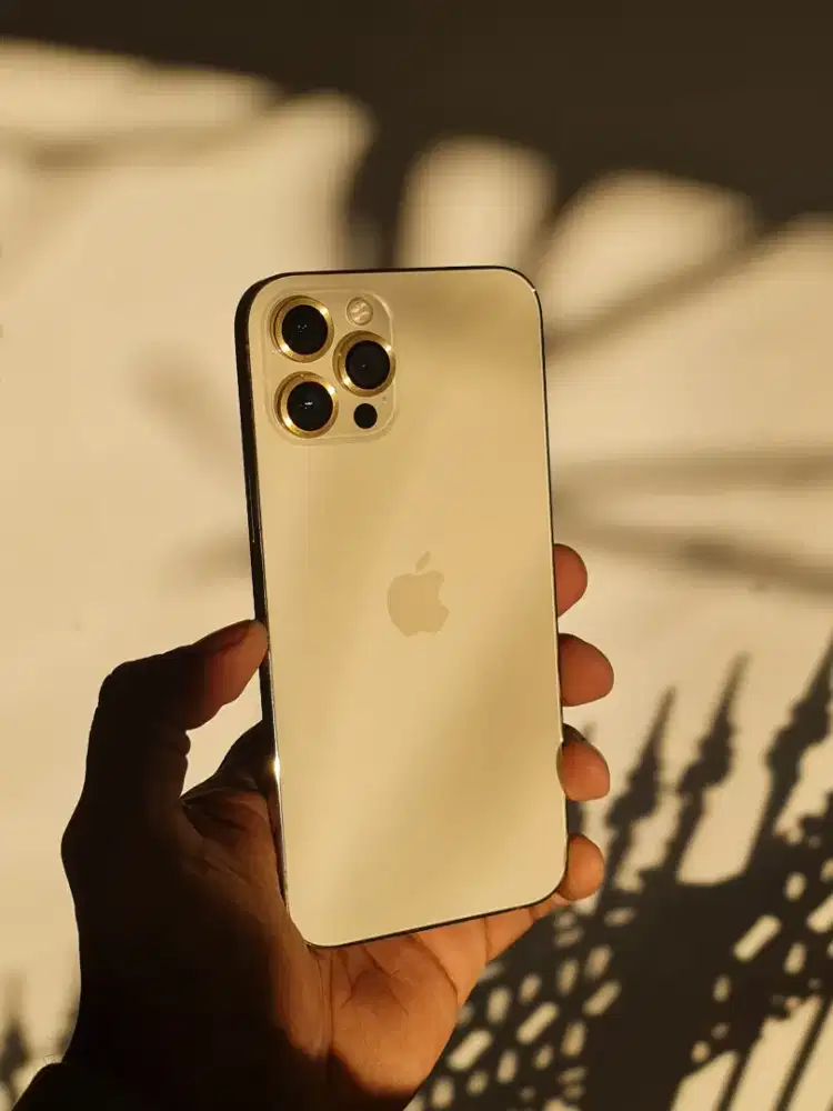Iphone 12 pro max 256 gold 5G mulus full orian wuapik nemen