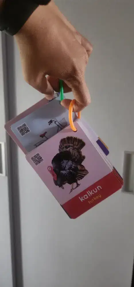 PL Flash Card 100 Kata Pertamaku Ring Wipe Clean