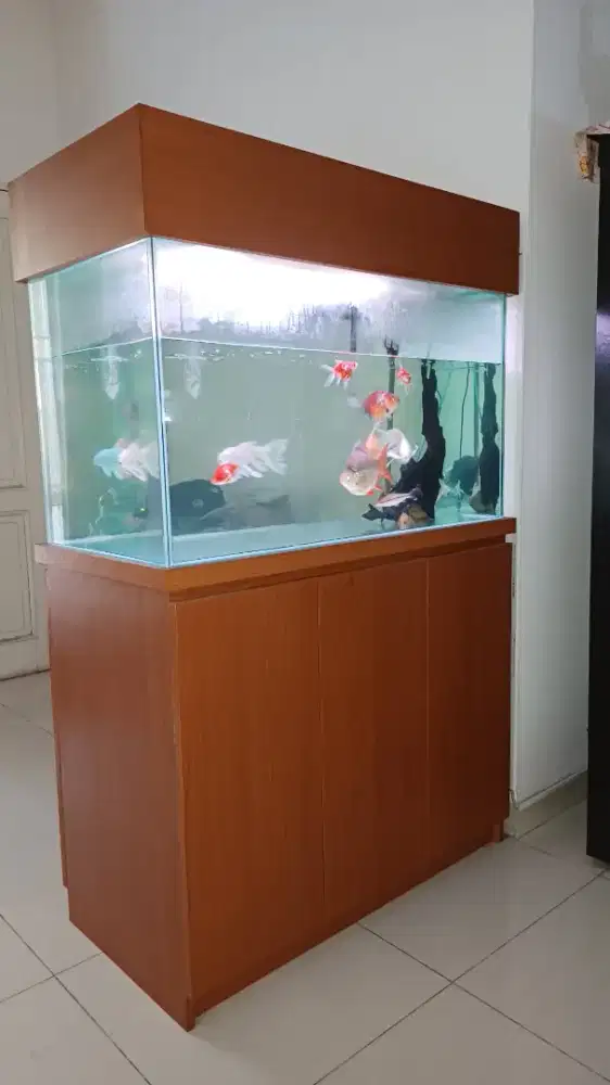 Aquarium Kaca Tempered