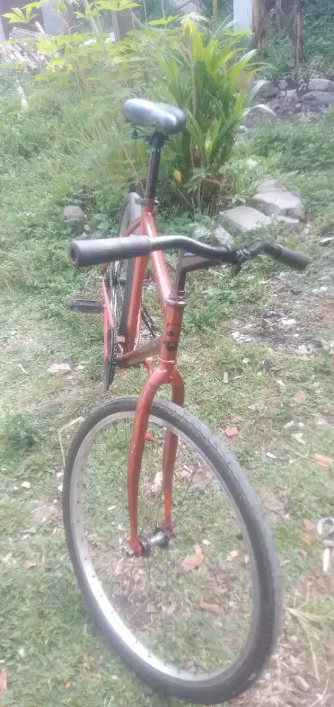Mau jual cepat sepeda pederal ukuran 26 cat baru, rantai baru ganti ya