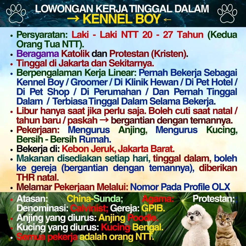 KENNEL BOY ASAL NTT ART LAKI - LAKI ASAL NTT AGAMA KATOLIK & PROTESTAN