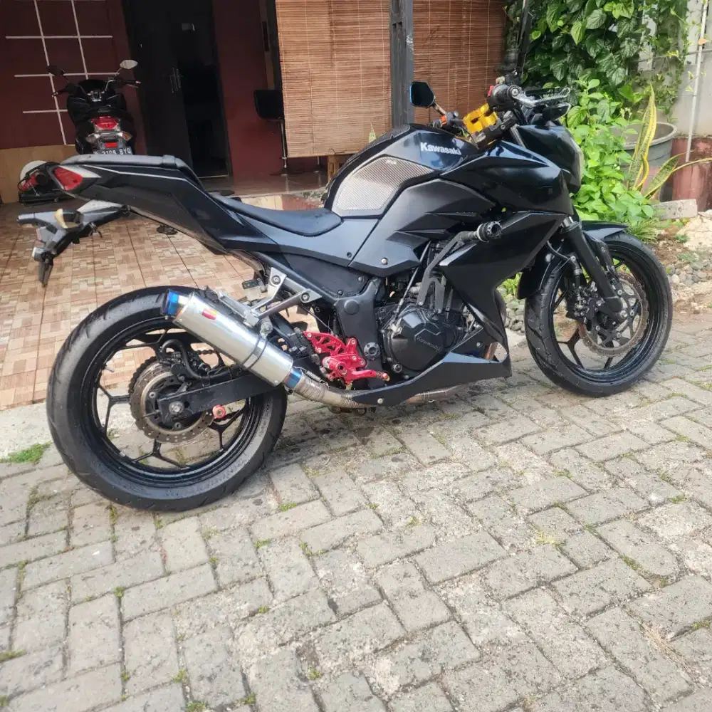 Ninja Z250 2013