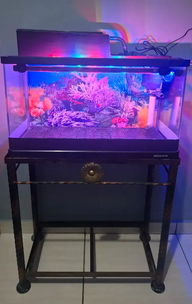 Aquarium Set Kaca Bending Nisso Original
