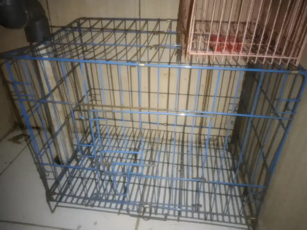 kandang kucing murah