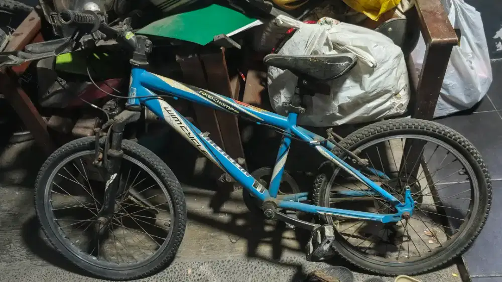 Sepeda anak wim cycle bekas