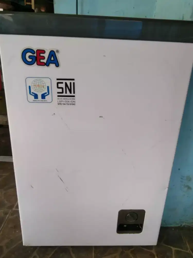 Friser 100L gea