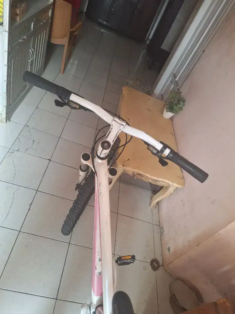 Dijual sepeda poligon mtb cleo,