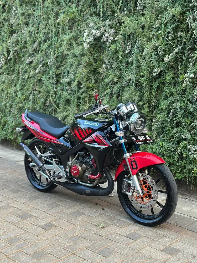 Ninja SS zebra 2014