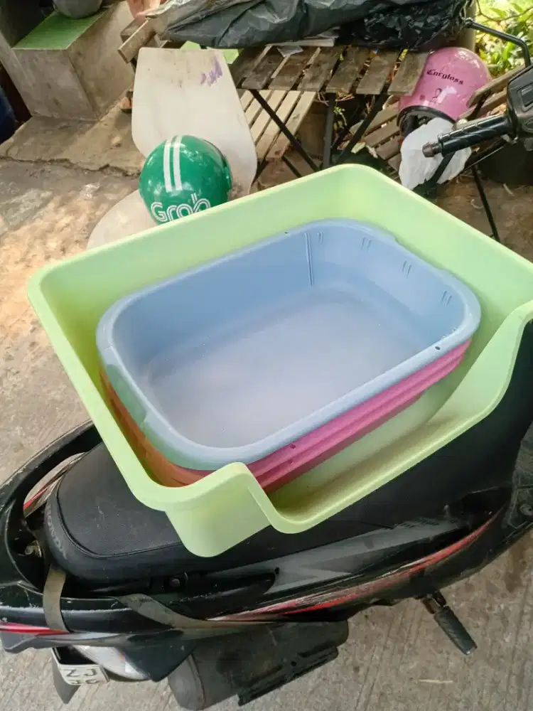 Perlengkapan hewan kucing