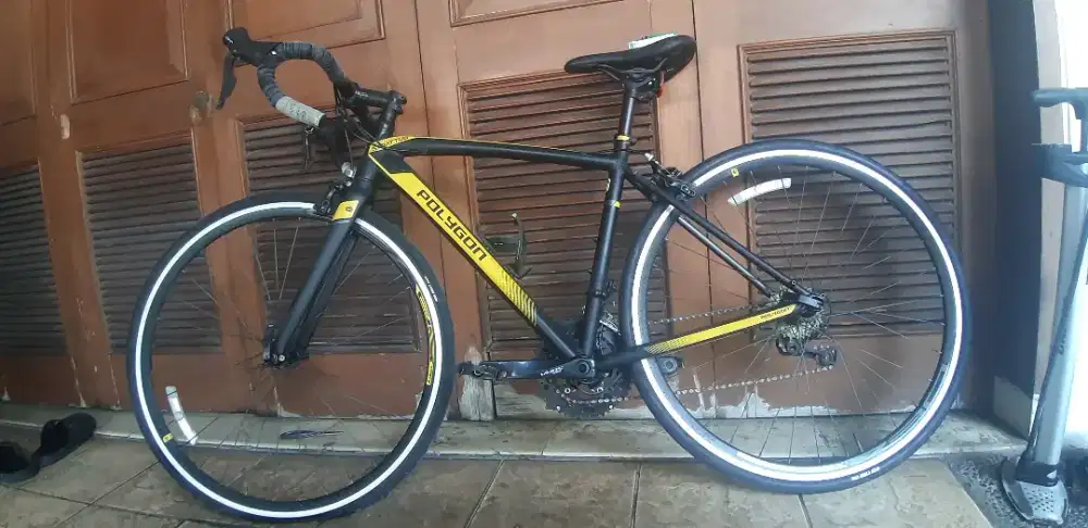 3 sepeda 1, polygon starttos s3 2, evolution theory FR  3. pl monarch