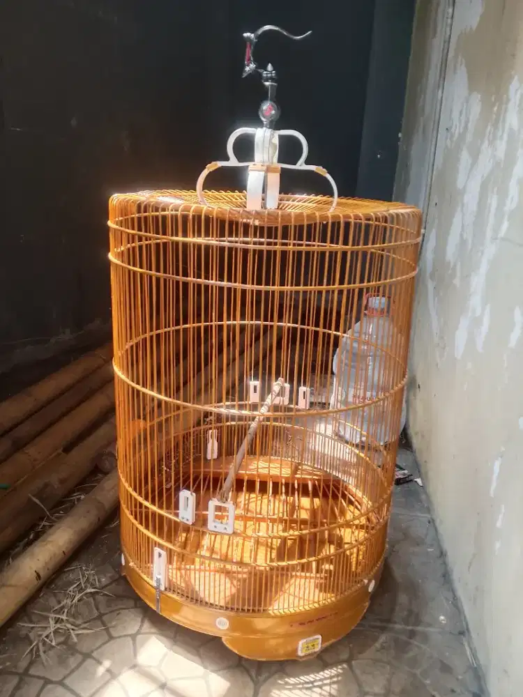 sangkar murai orik jaya no2