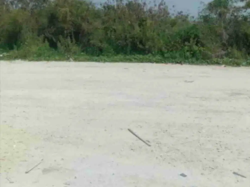 Lahan Industri dan Gudang di Manyar Gresik