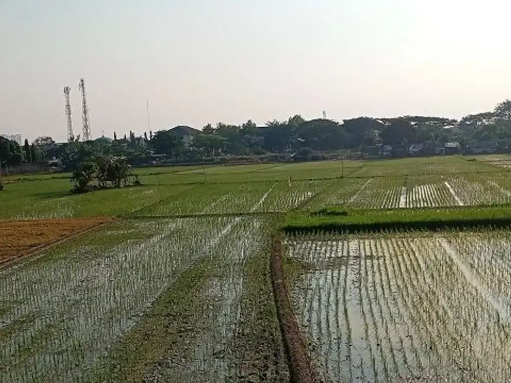 Di Jual : Tanah Sawah SHM 18,6 Hektar Area Setialaksana Kabupaten Bekasi.