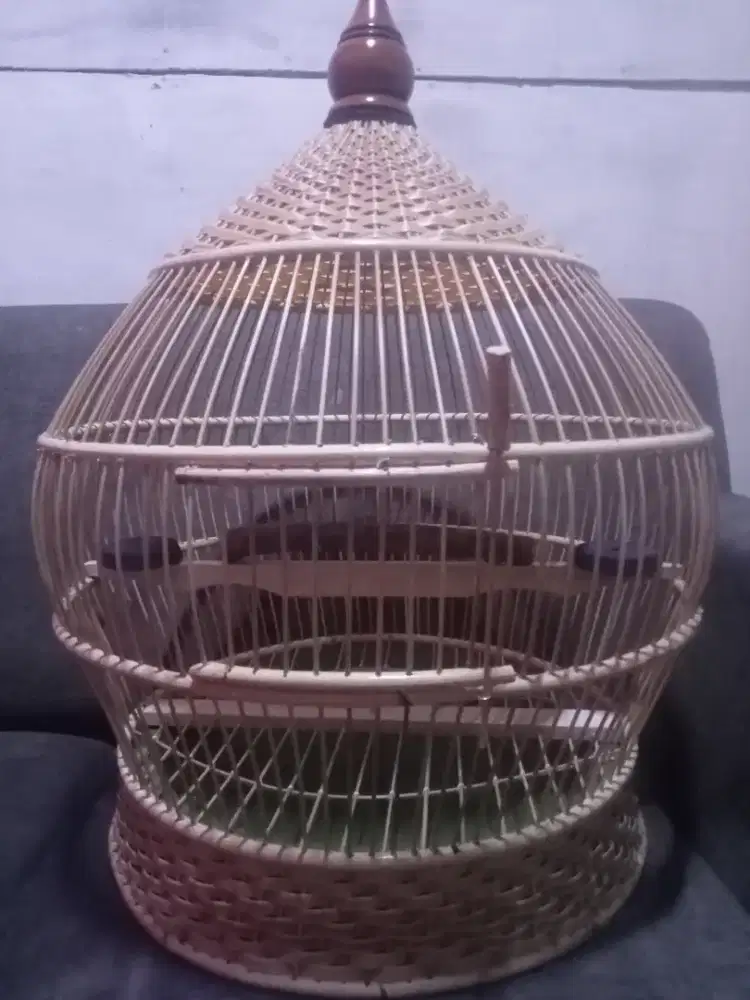 Sangkar tekukur baru