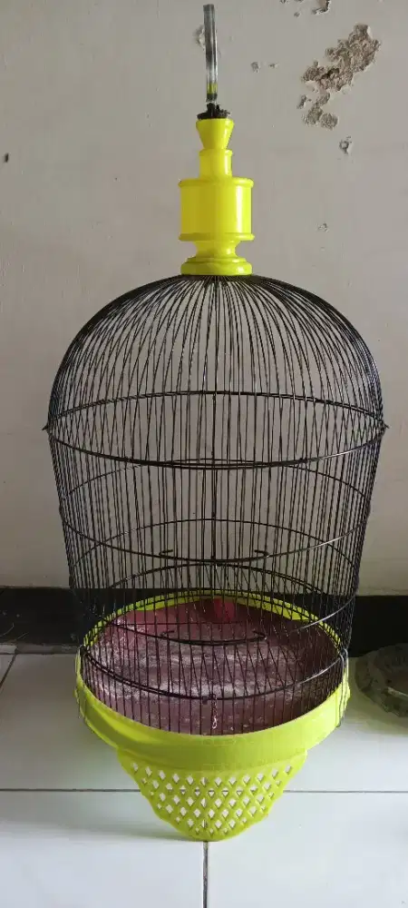 Sangkar perkutut jemur