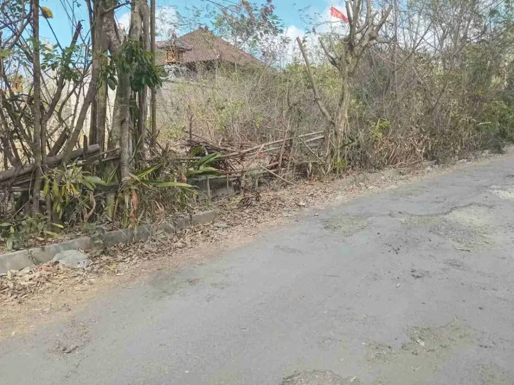 dijual tanah 10 are IDR 675 juta/are dekat Garuda Wisnu kencana Ungasan Kuta Selatan Badung Bali