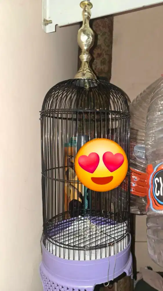 sangkar kandang burung kecil