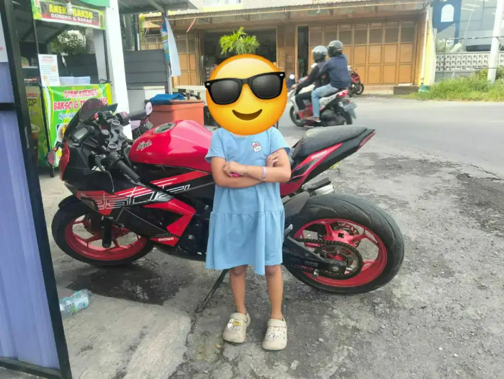 Ninja mono 250 SL