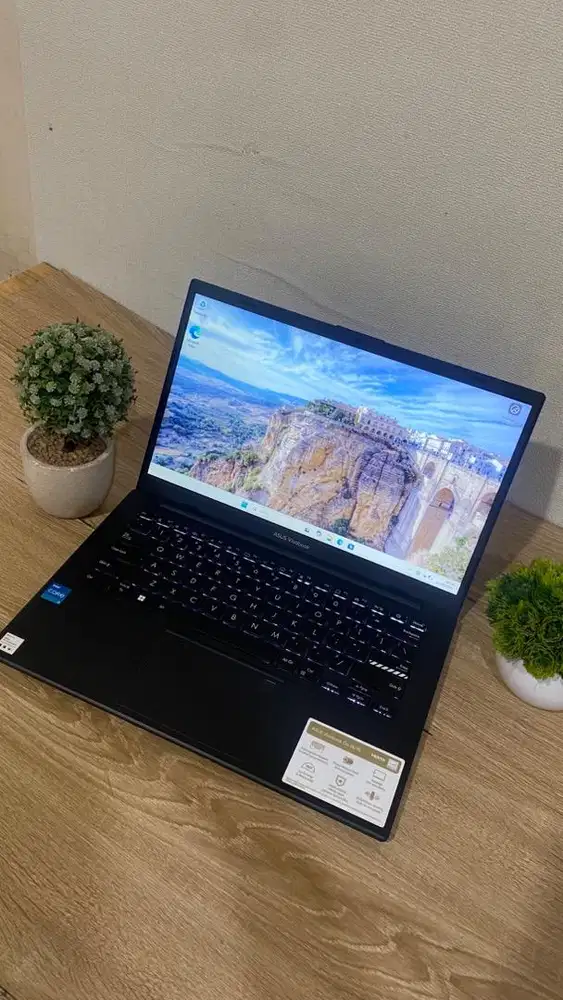 New Asus Vivobook Go E1404GA