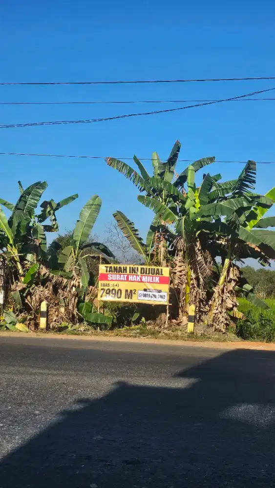 TANAH PINGGIR JALAN UTAMA STRATEGIS