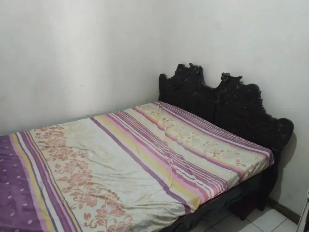 Dipan jati Risbang jati murah