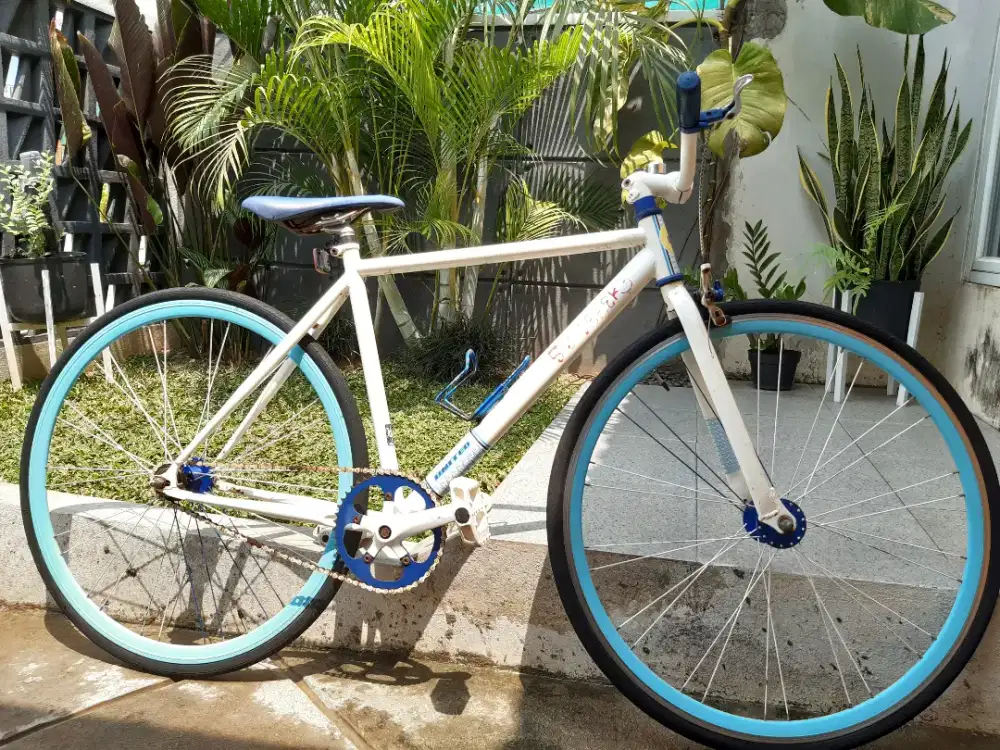 Sepeda fixie soloist