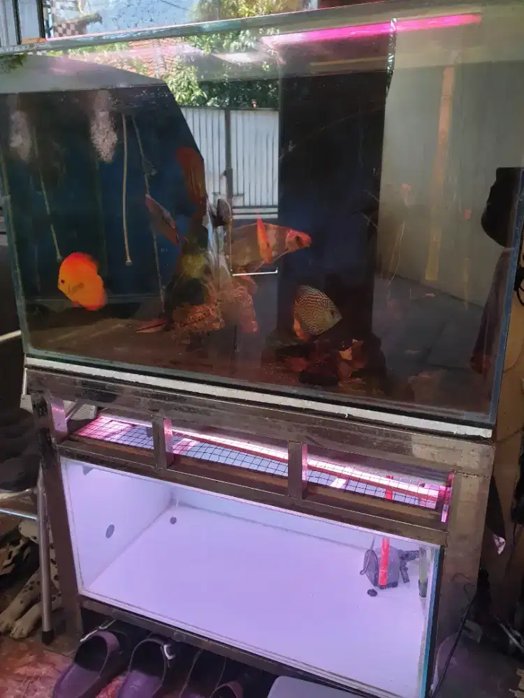 Jual Aquarium 2 tingkat meja dari stanlis 4x6