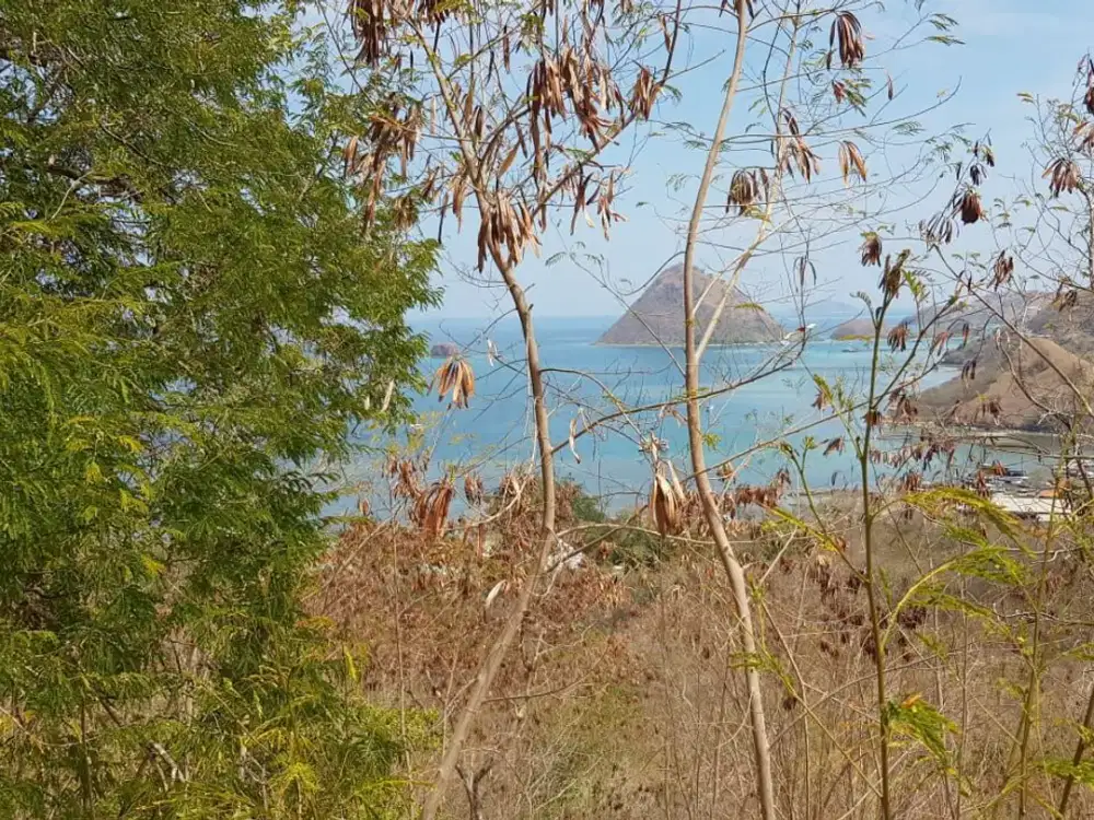 Dijual Tanah Strategis untuk Hotel / Resort di Labuan Bajo, NTT
