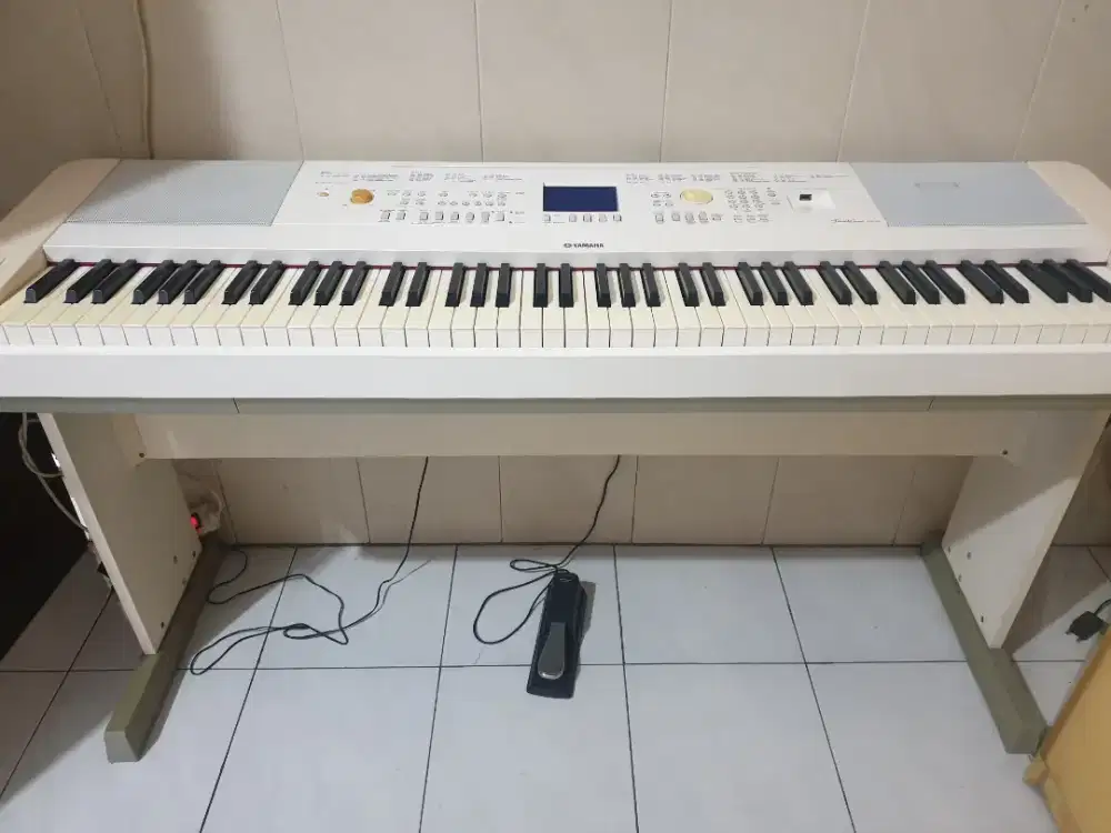 Portable Grand DGX 660