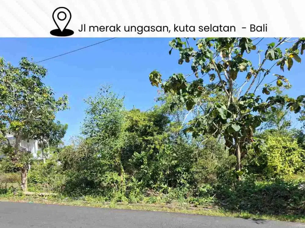 DIJUAL TANAH KAVLING LOKASI JALAN MERAK UNGASAN